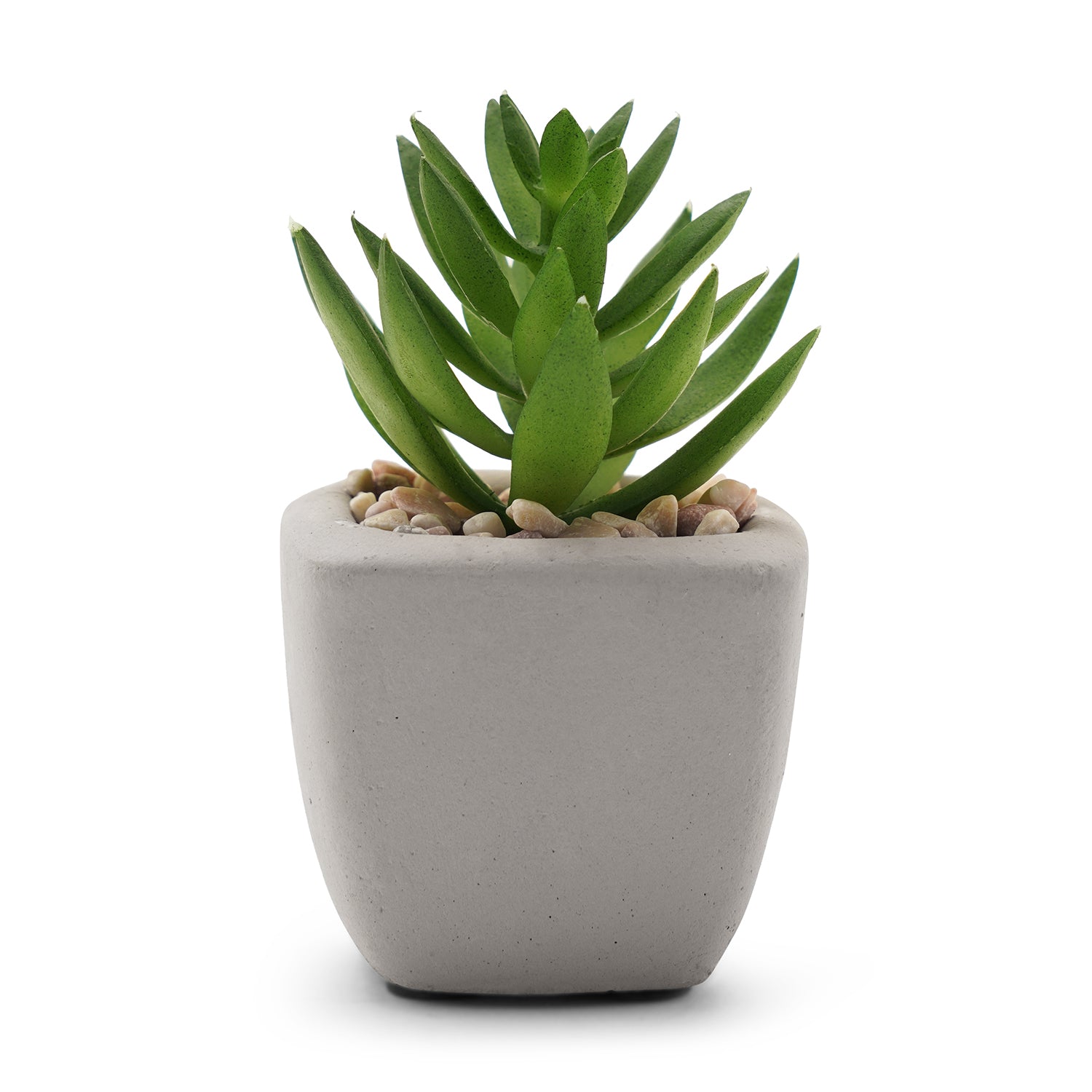 Shop Green Artificial Succulents With Pot - at Best Price Online