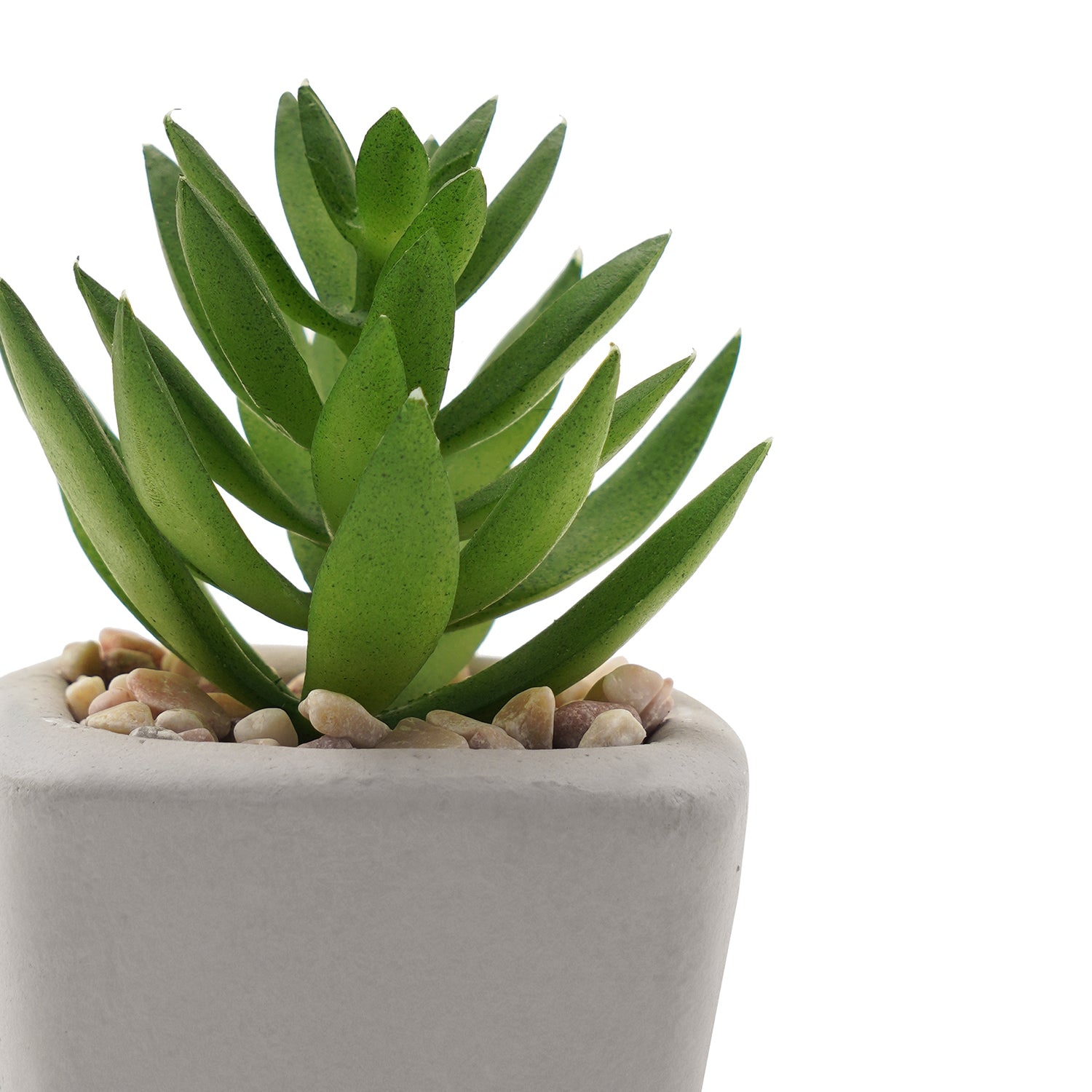 Shop Green Artificial Succulents With Pot - at Best Price Online