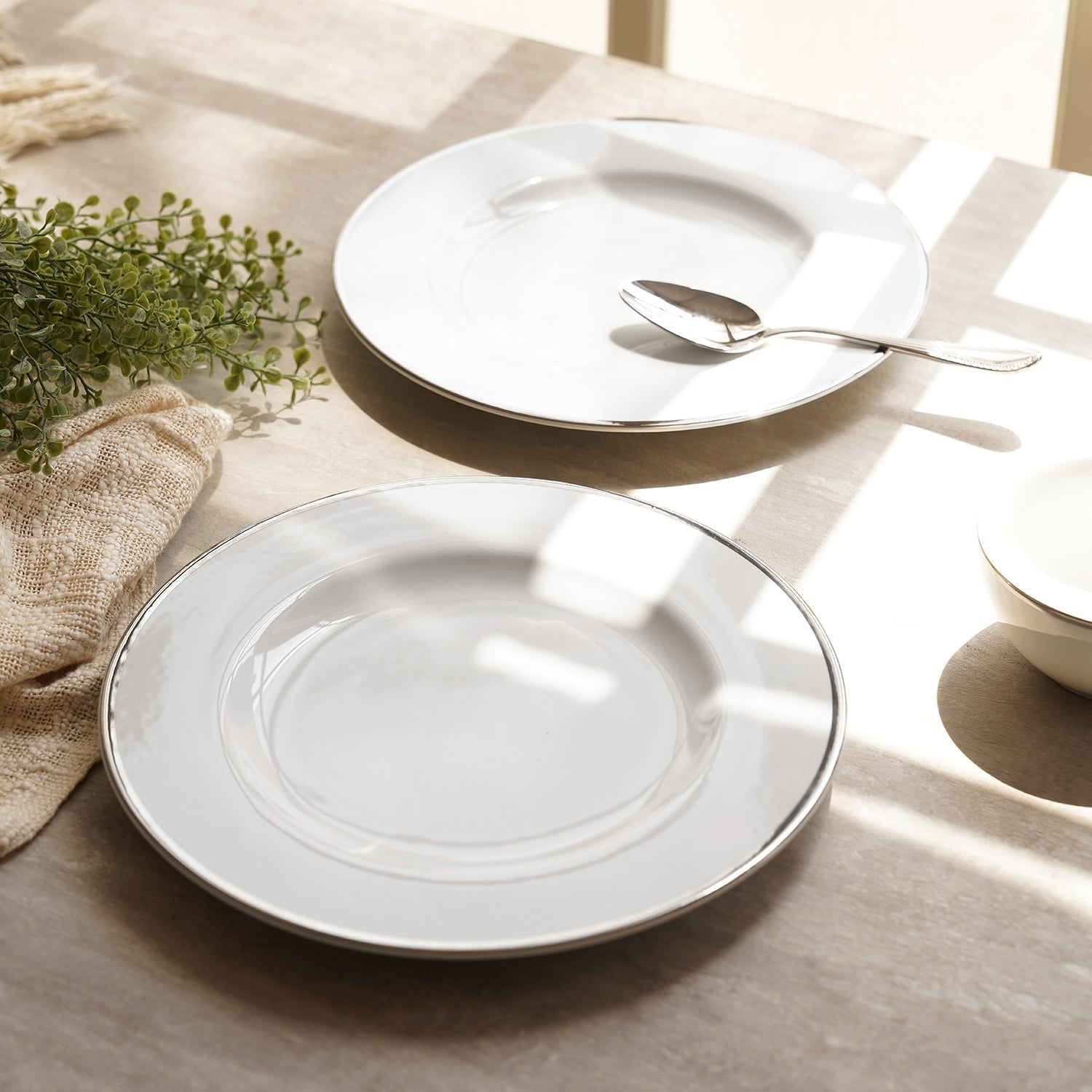 Silver and shop white dinner plates